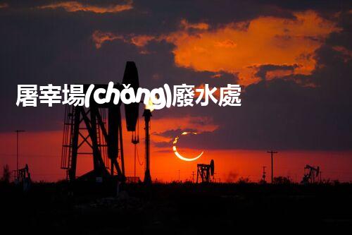 屠宰場(chǎng)廢水處理技術(shù)革新：環(huán)保之路有何新進(jìn)展？